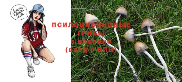 герыч Липки