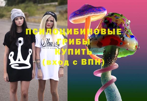 Альфа ПВП Лиски