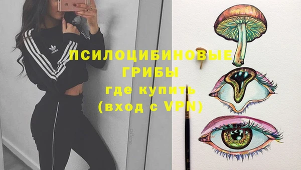 Альфа ПВП Лиски