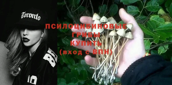 Альфа ПВП Лиски