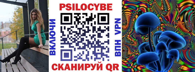как найти наркотики  ОМГ ОМГ ссылки  Галлюциногенные грибы Psilocybine cubensis  Цивильск 